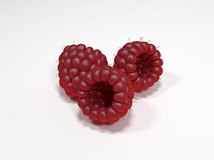 3d raspberry