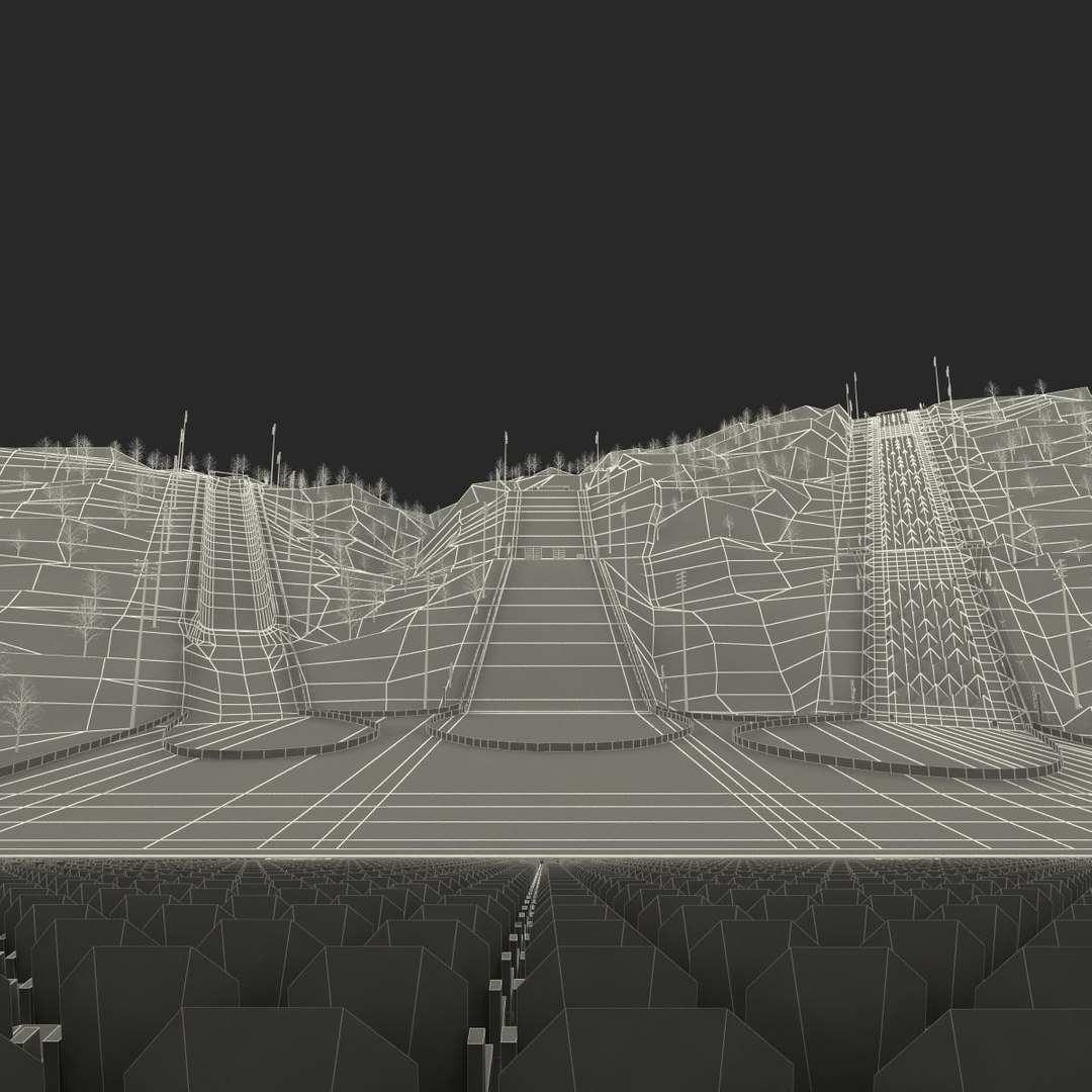 2014 winter olympics venue