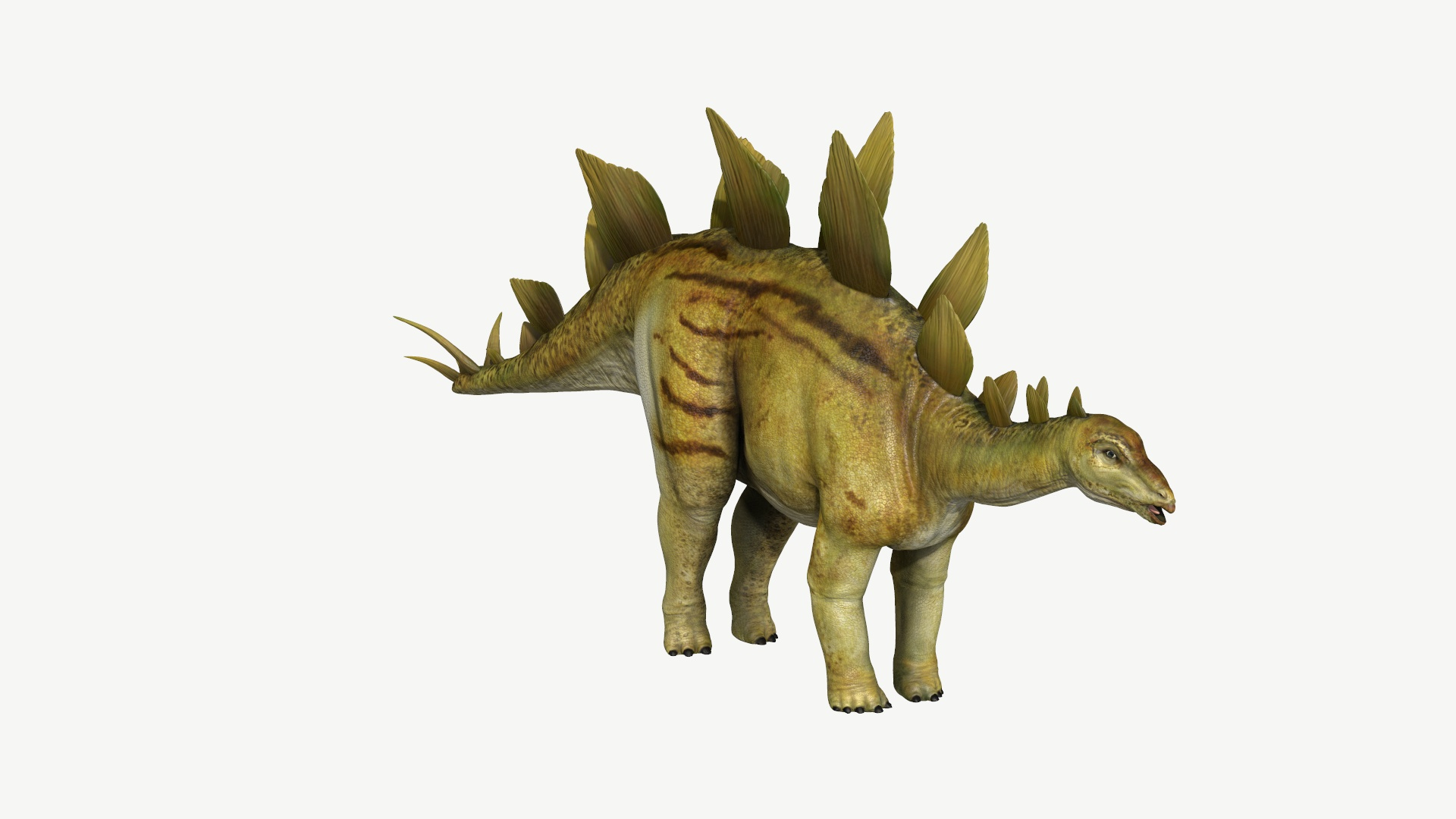 Stegosaurus 3D Dinosaur