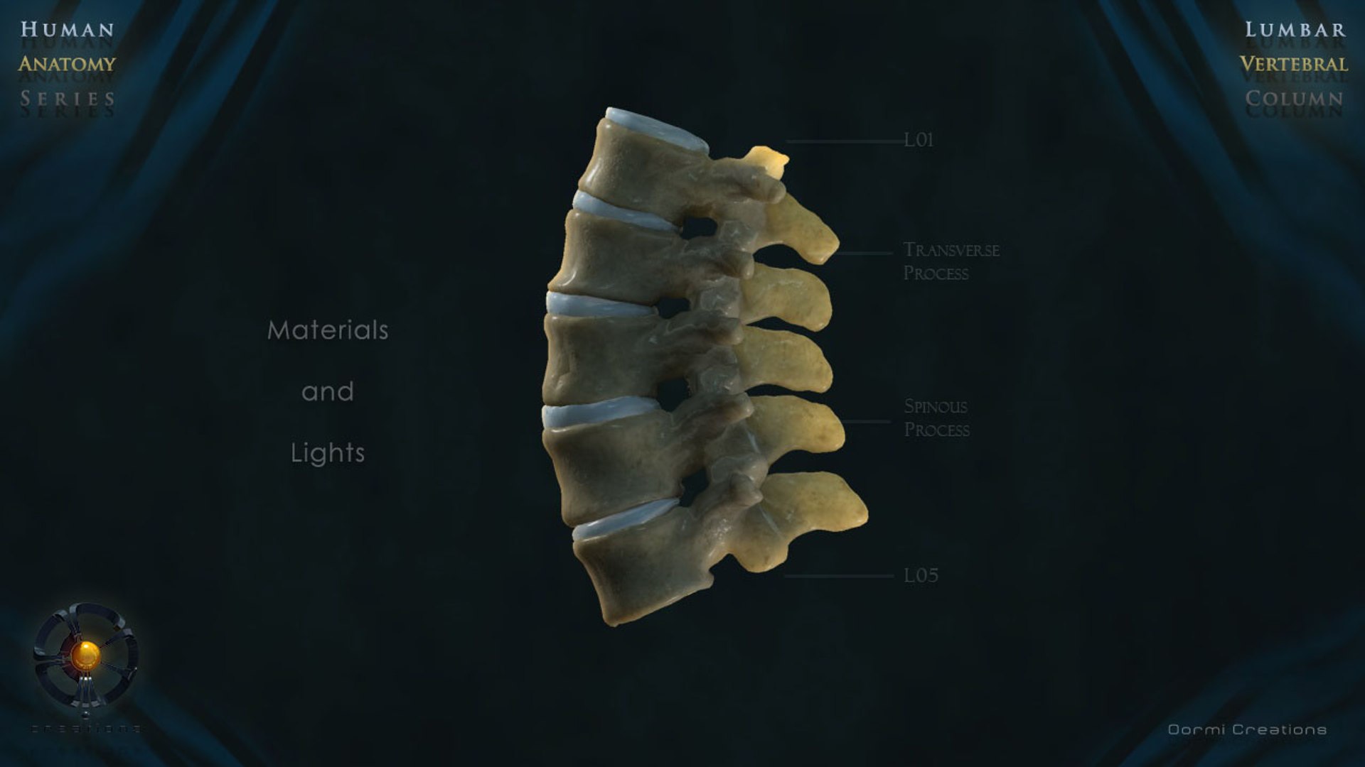 3d Model Vertebral Column Lumbar Vertebra