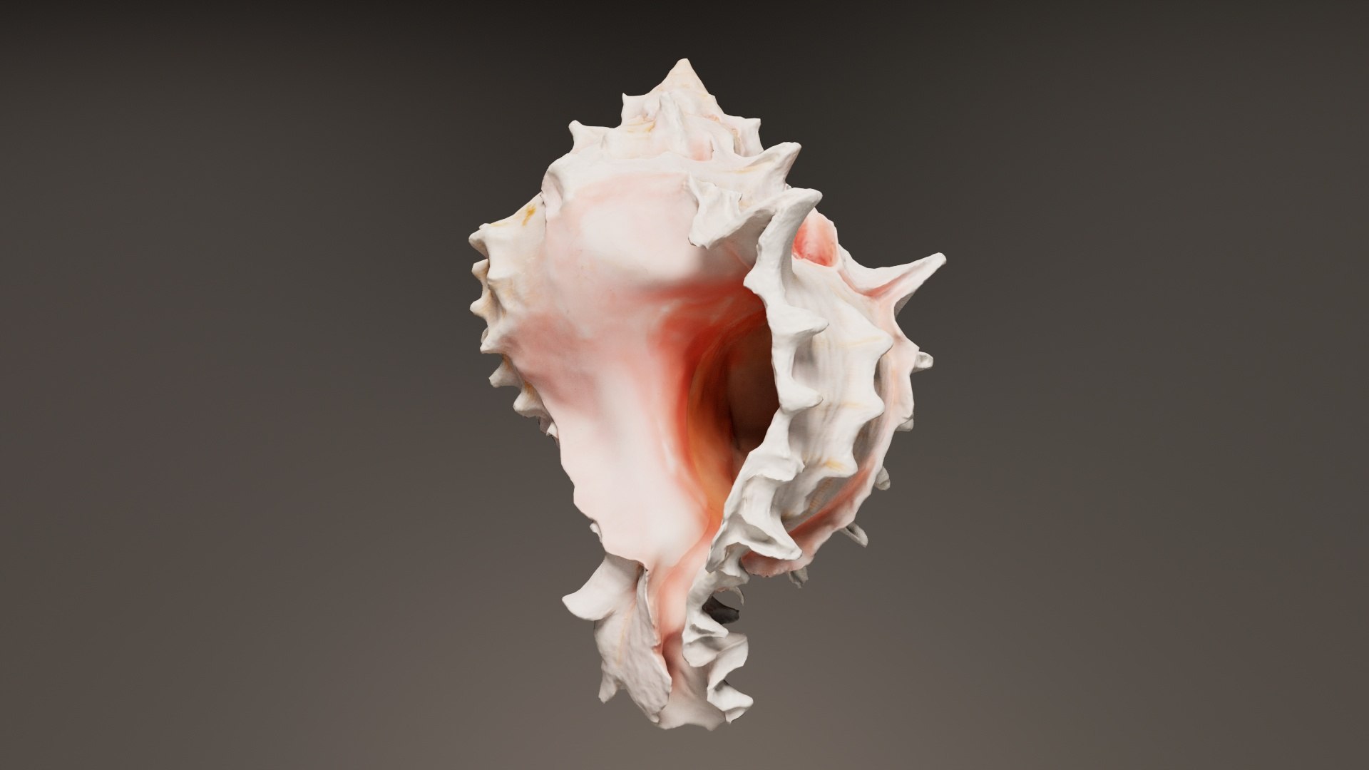 3D Shell Pink Remastered Model - TurboSquid 2359839