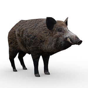 wild boar animations max