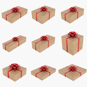 Wrapped Gift  Box Bundle Collection 3