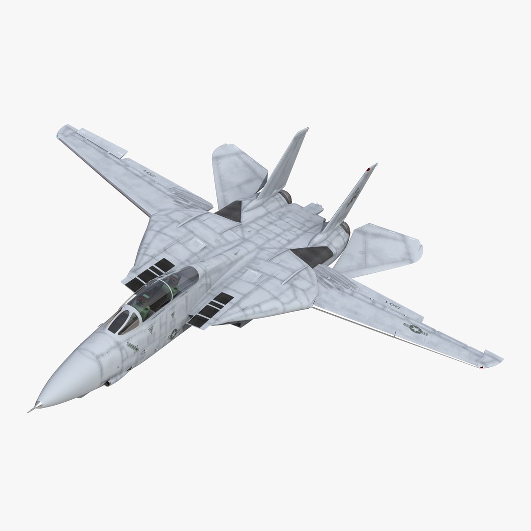 F-14 Tomcat US Combat Aircraft Rigged 3D model preview