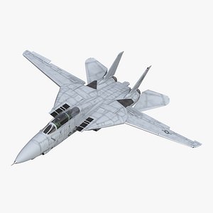 F-14 Tomcat US Combat Aircraft Rigged