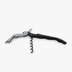 Corkscrew 3d model