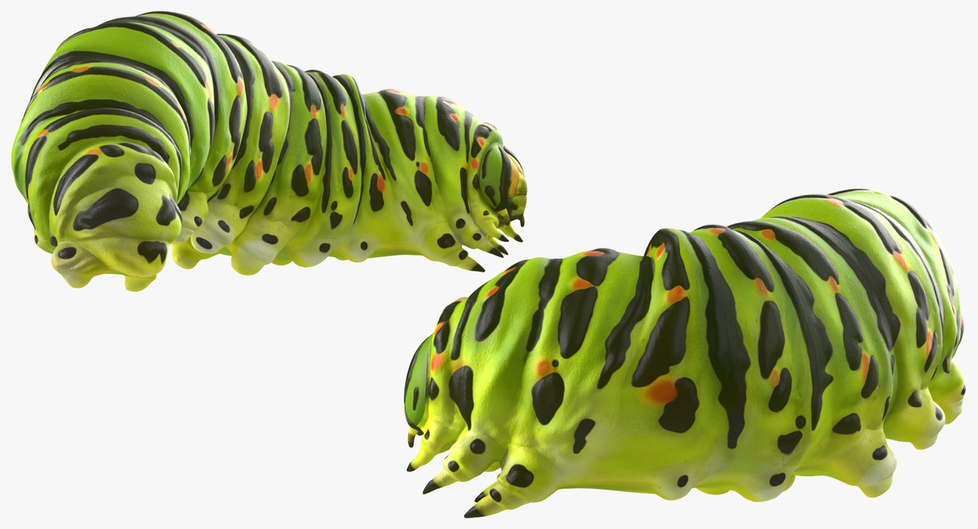 3d caterpillar rigged model