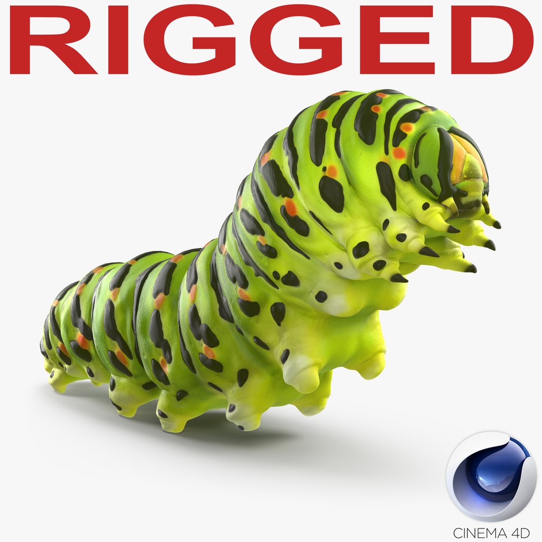 Caterpillar Rigged for Cinema 4D 3D model preview