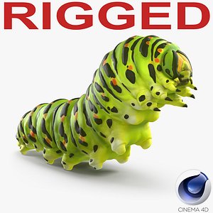 3d caterpillar rigged model