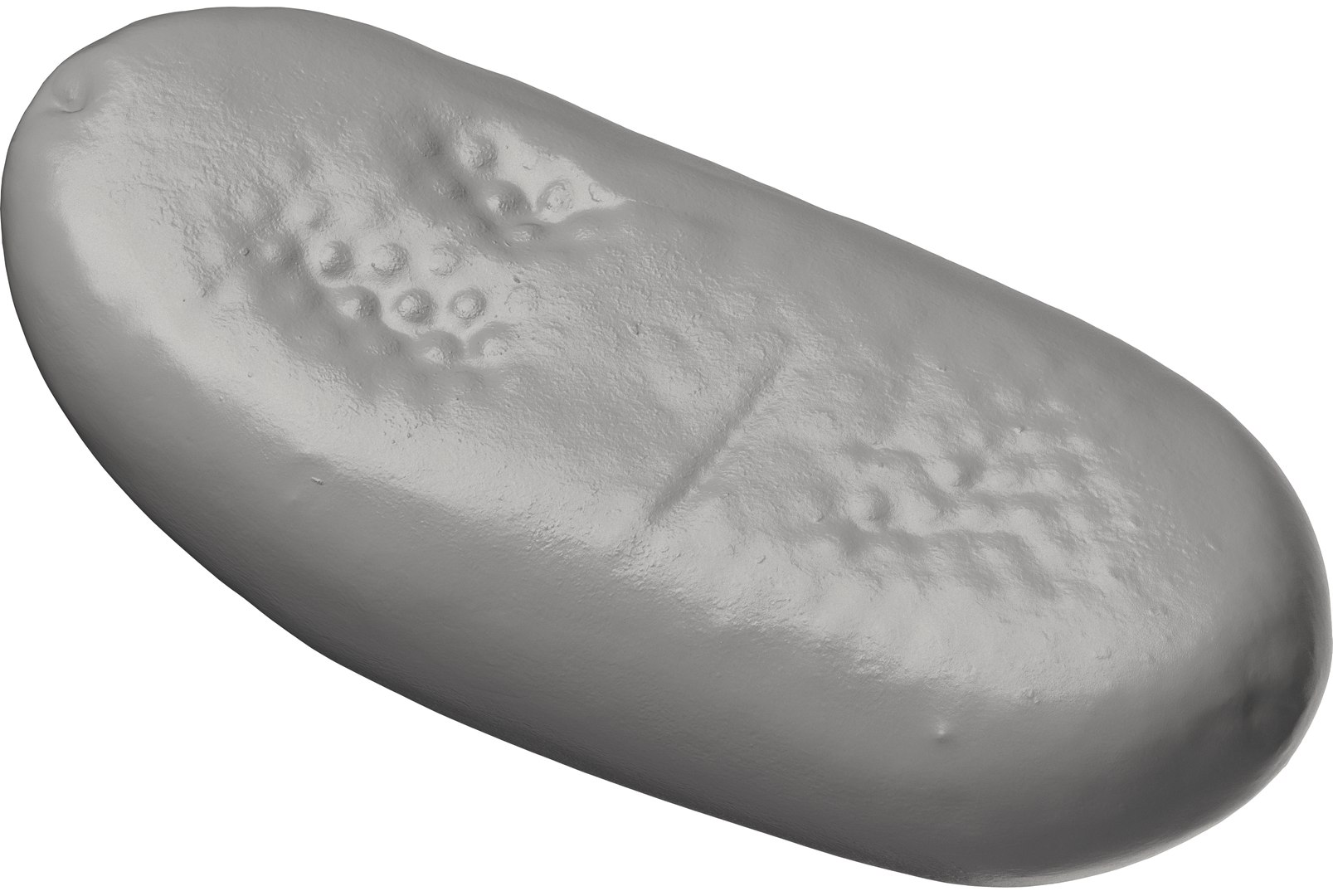 3D 3D Bread Models https://p.turbosquid.com/ts-thumb/pm/3JqRra/hH/a001391_04/png/1719295097/1920x1080/fit_q87/c188297a4f2ac5994f4b409384214e997c385811/a001391_04.jpg