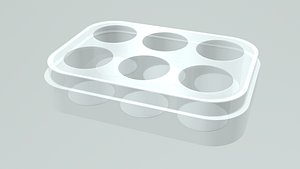 6 Wells Plate