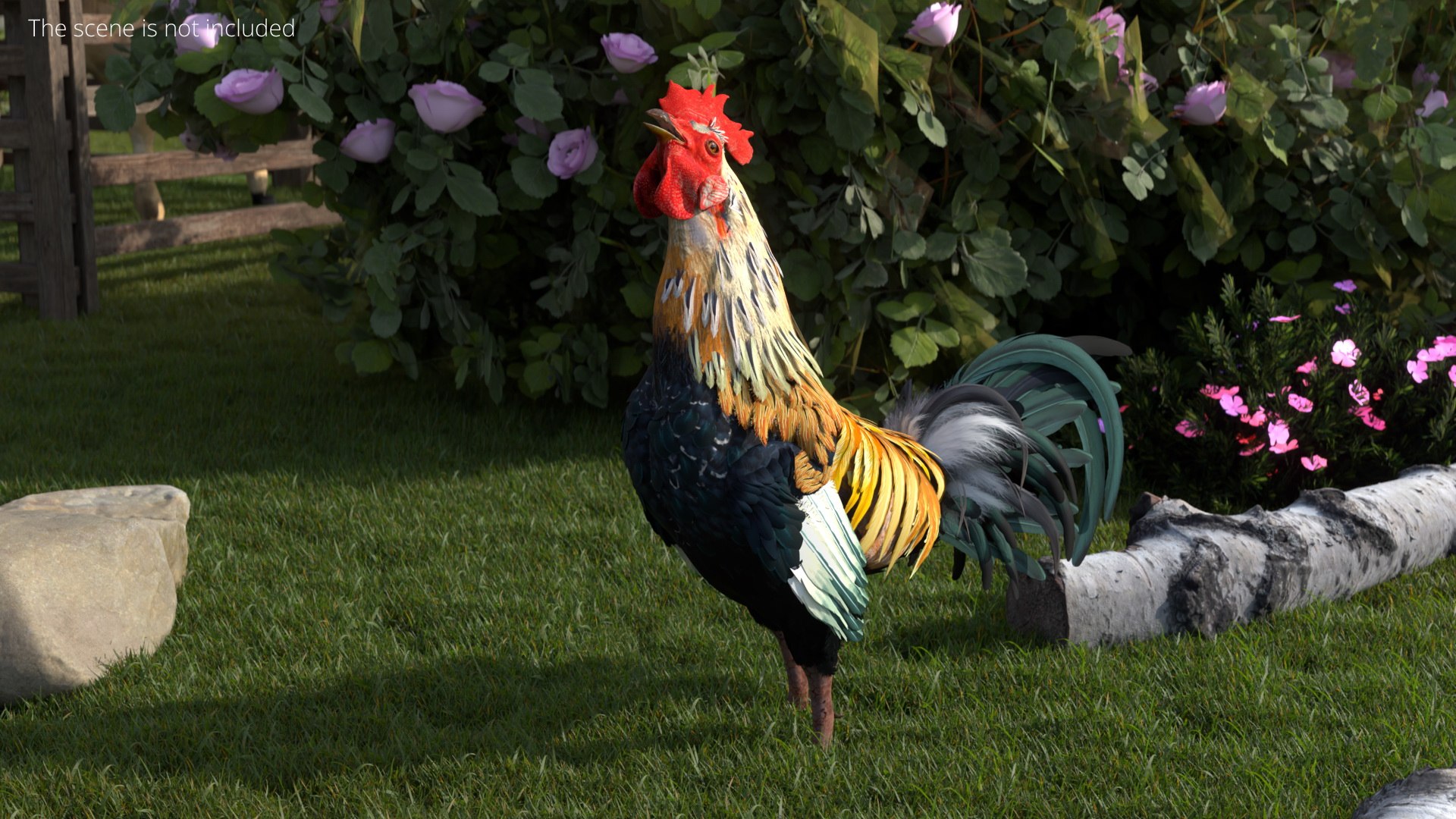 3D Model Rainbow Rooster Crowing Animated Rigged For Blender ...