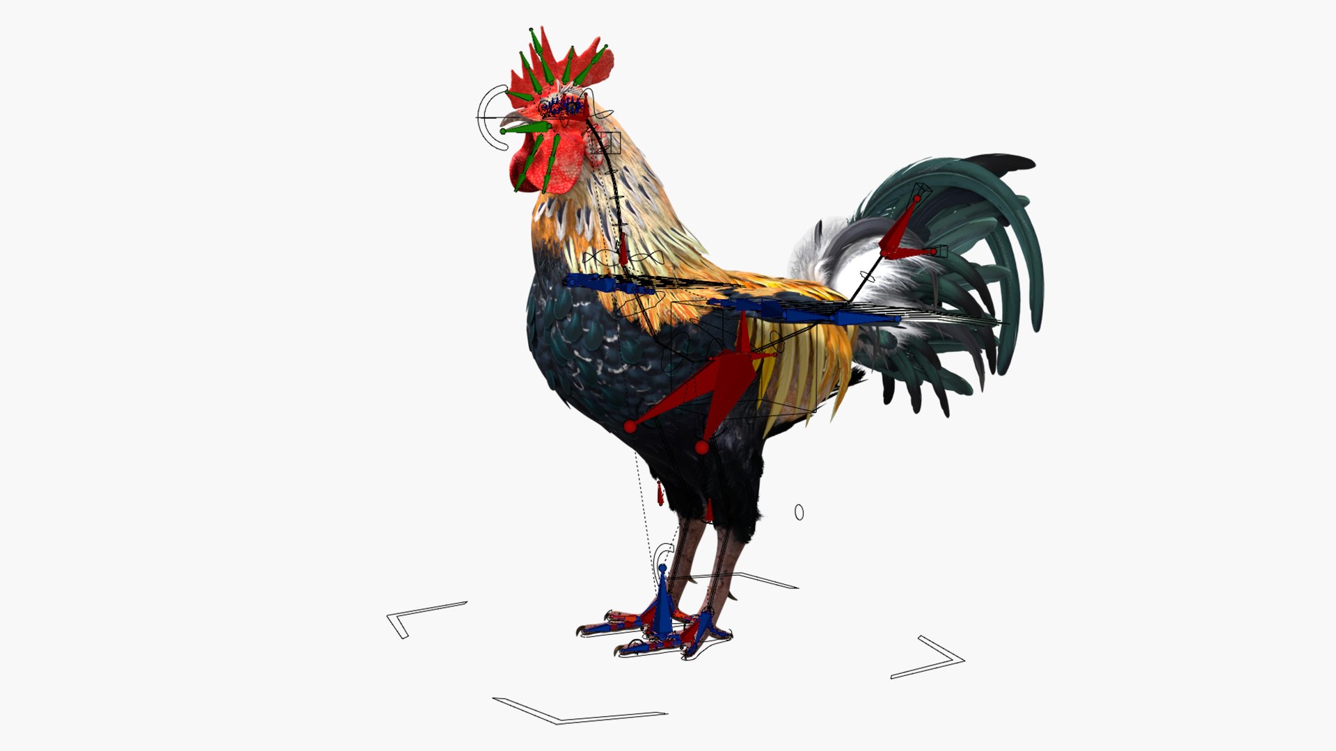 3D Model Rainbow Rooster Crowing Animated Rigged For Blender ...