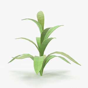 Low Poly Tropical Plant 03