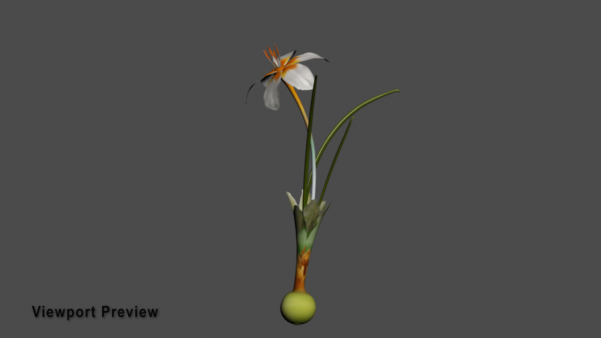 8 flowers animation 3D https://p.turbosquid.com/ts-thumb/pm/SQKh4A/0xIz6Al6/_growing_flowers_packages_single/jpg/1596969686/1920x1080/turn_fit_q99/c8dc2707a1ae4249869e7e0a5da0d89a332f3ce1/_growing_flowers_packages_single-1.jpg