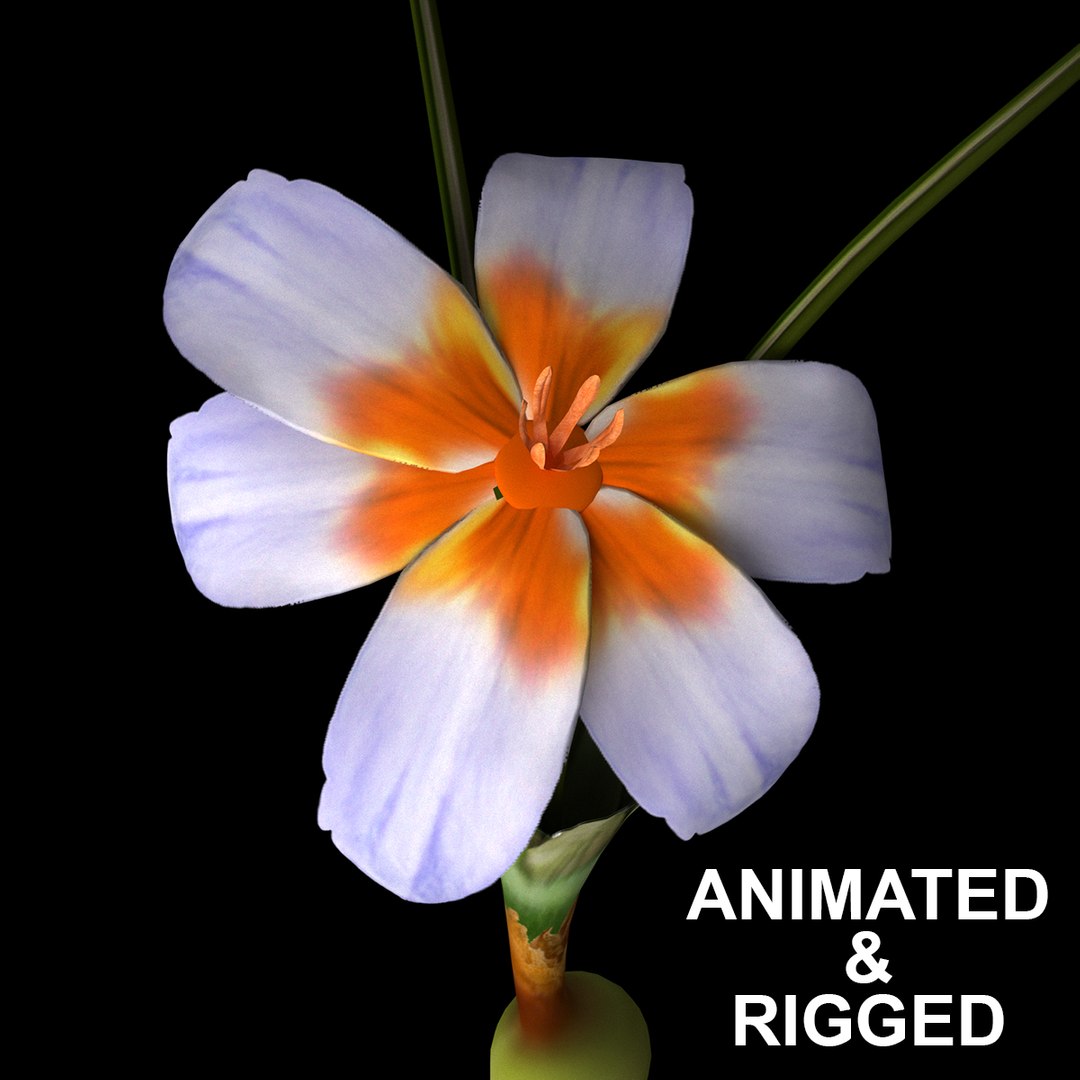 8 flowers animation 3D - TurboSquid 1603296