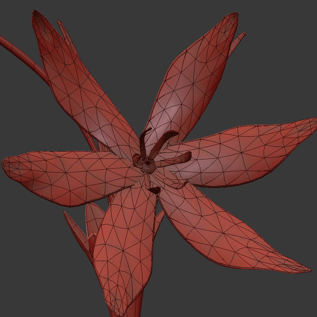 8 Flowers Animation 3D - TurboSquid 1603296