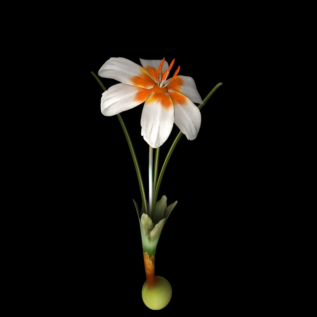 8 flowers animation 3D https://p.turbosquid.com/ts-thumb/pm/SQKh4A/Bwm2D4DI/01/jpg/1596968786/1920x1080/fit_q87/4cbd64d1fb9a726147f3ff989dcbc5430de68cc8/01.jpg