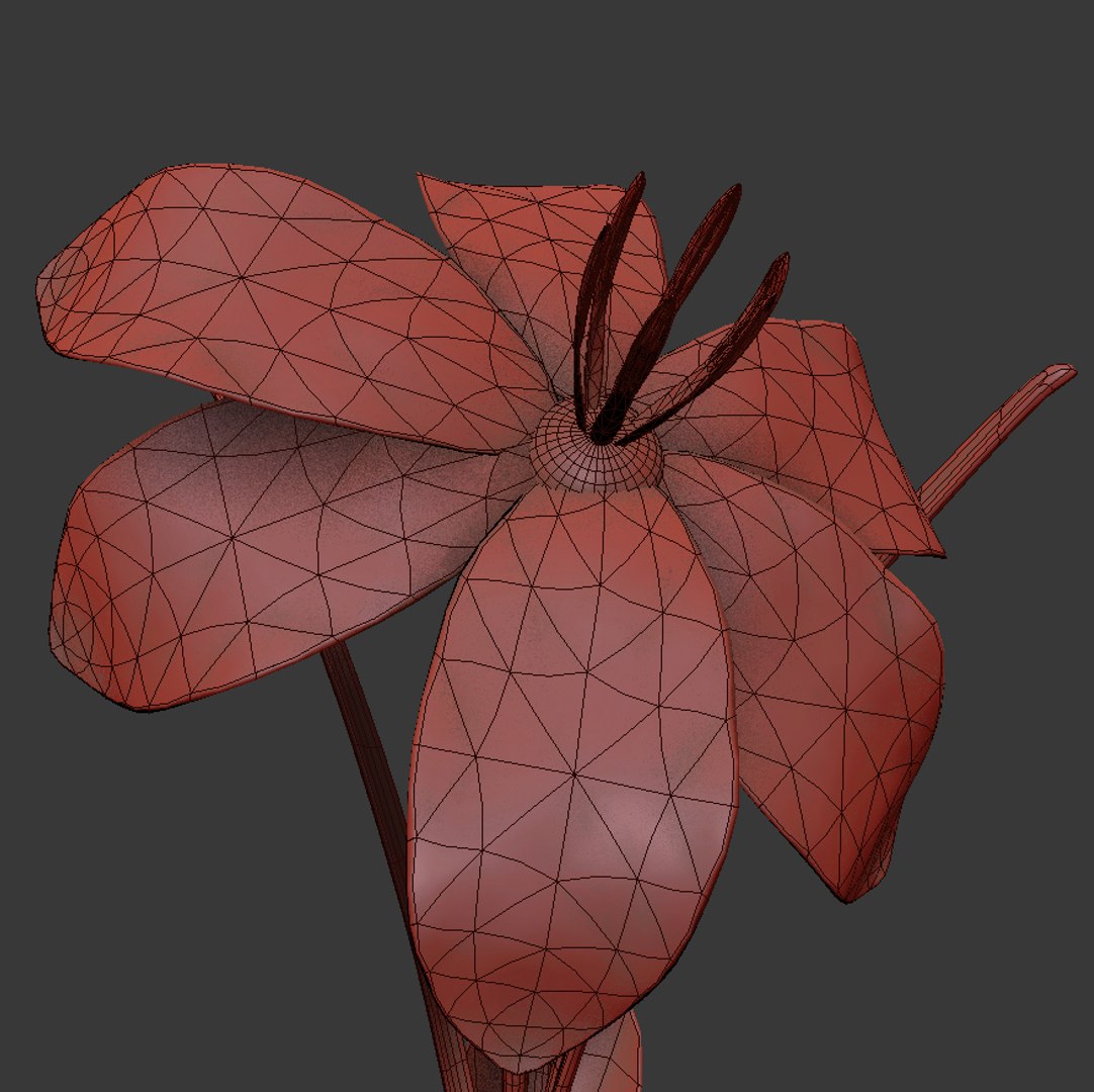 8 flowers animation 3D https://p.turbosquid.com/ts-thumb/pm/SQKh4A/Hn890eqA/02/jpg/1596968786/1920x1080/fit_q87/81a3d7e15fc5215c1dc8b09a4eaee448a8256b86/02.jpg