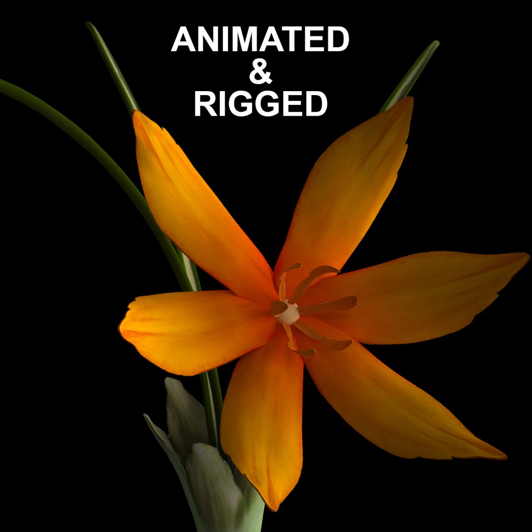 8 flowers animation 3D - TurboSquid 1603296