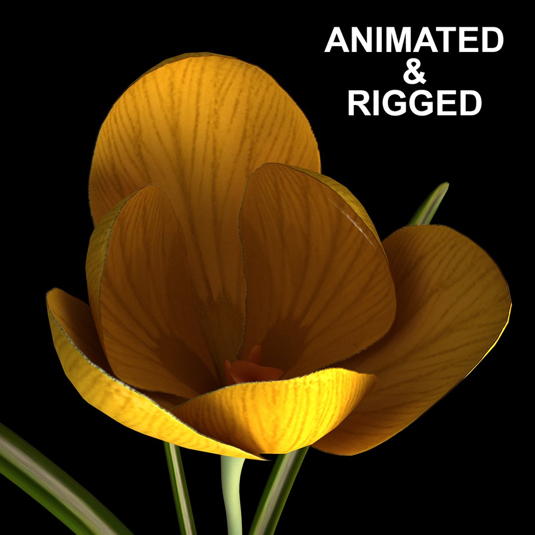 8 flowers animation 3D - TurboSquid 1603296