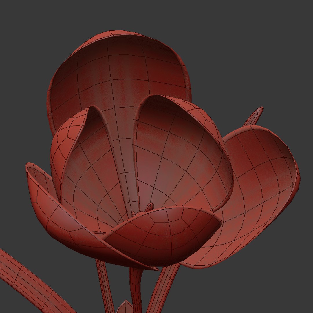 8 flowers animation 3D https://p.turbosquid.com/ts-thumb/pm/SQKh4A/PV9GG7Wp/02/jpg/1596968778/1920x1080/fit_q87/d752b9b503e047831b46ee77588e43e9eeb44b43/02.jpg