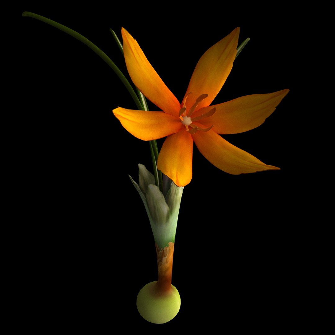 8 Flowers Animation 3D - TurboSquid 1603296