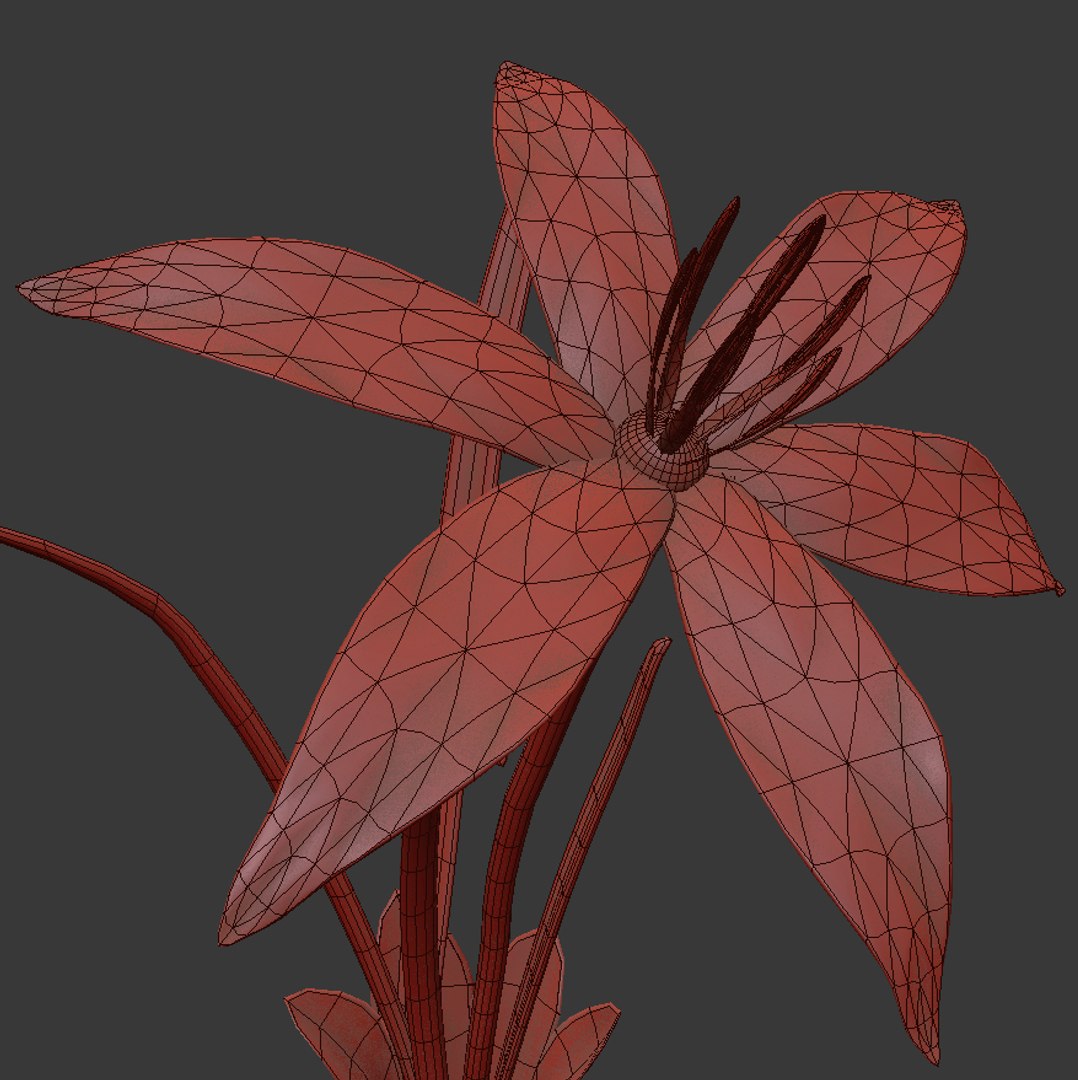 8 flowers animation 3D - TurboSquid 1603296