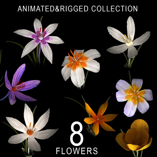 Animated 3D Flower Models | TurboSquid