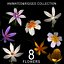 COLECCIÓN FLORES ANIMADAS 8