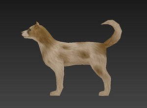 dog 3D