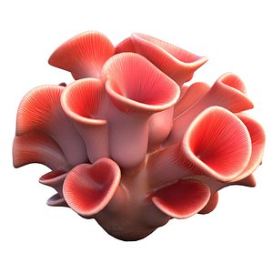 3D Coral reef 03