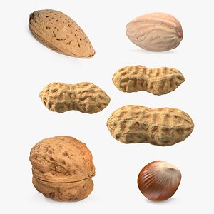 Nuts Collection 6