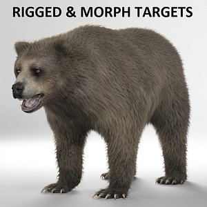 - rigged animation ma