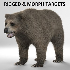 Brown bear(grizzly) - RIGGED AND ANIMATED