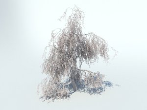 realistic sakura tree 3d max