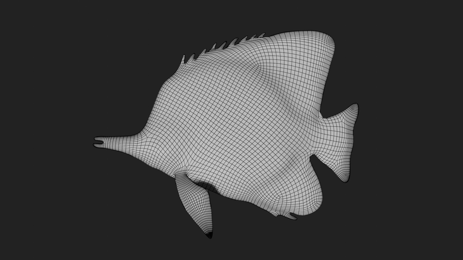 3D Model Fully Rigged Low Poly Butterfly Fish - TurboSquid 1759839