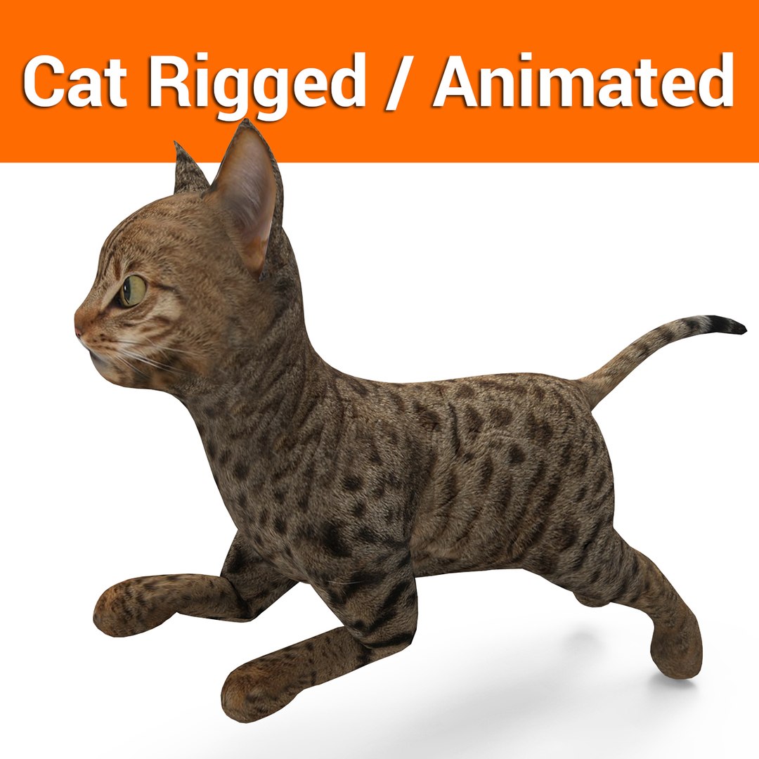 3D model cat rigged animation - TurboSquid 1204569