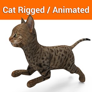 cute cat rigged animated(1)