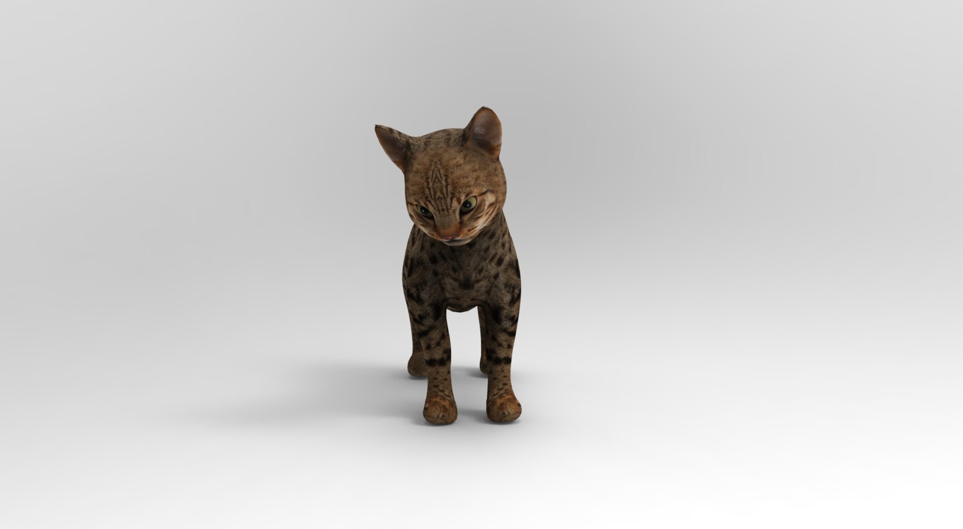 3D Model Cat Rigged Animation - TurboSquid 1204569