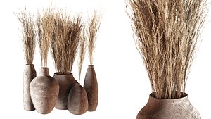 Indoor plants 01 - Pampas set in Pottery Pots 3D model