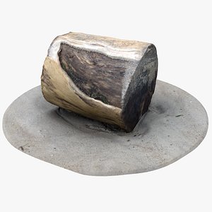 rustic wood stump 3 3D model