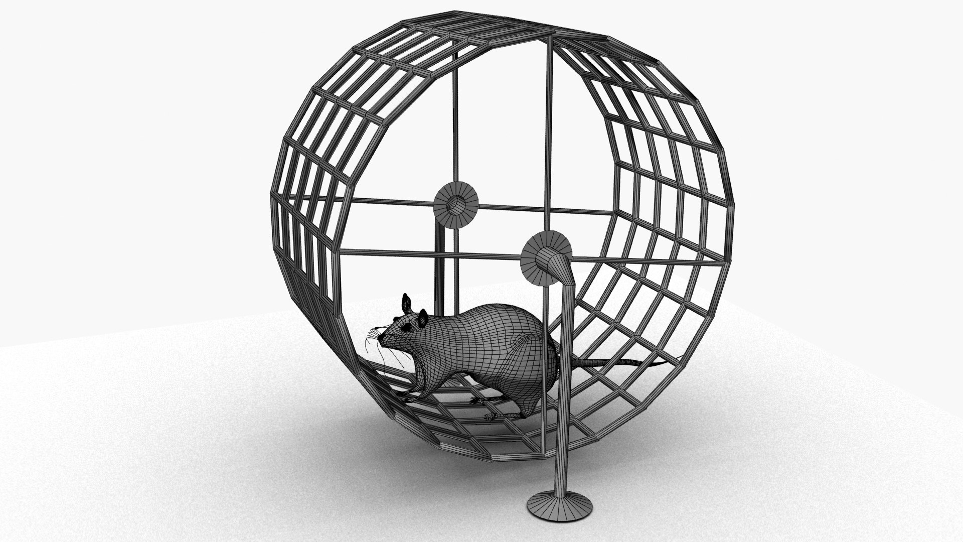 3D Mouse In Wheel Model - TurboSquid 1897984