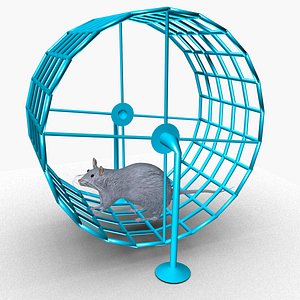 Mouse in wheel