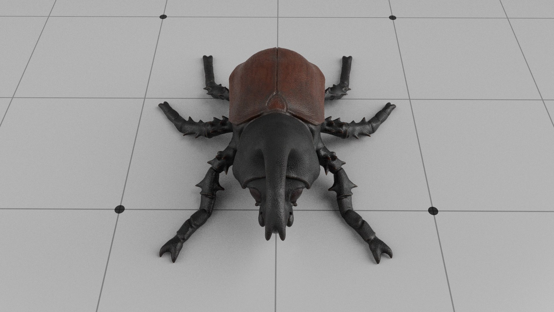 Black Beetle  Insect 3D model https://p.turbosquid.com/ts-thumb/pn/gQZKov/a7/004/jpg/1791813367/1920x1080/fit_q87/0beef0a80cf37889d93ad7618a92c59dff826a22/004.jpg