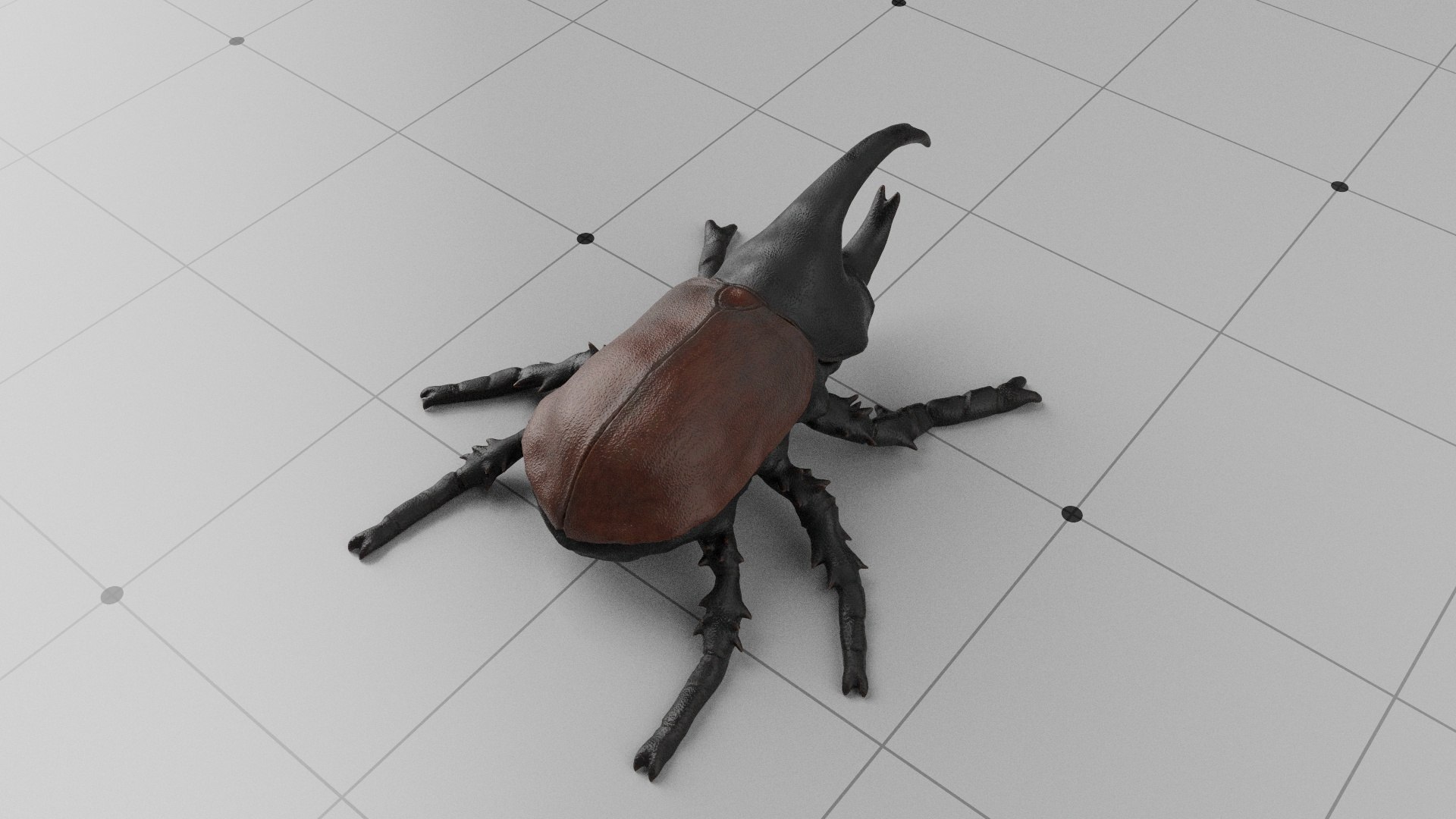 Black Beetle  Insect 3D model https://p.turbosquid.com/ts-thumb/pn/gQZKov/st/005/jpg/1791813366/1920x1080/fit_q87/a775543a13ec983381629e2a6db15d7fcb1baf8d/005.jpg