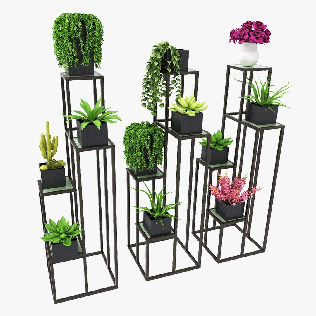 3D Ficus Lyrata Trees model - TurboSquid 2029880