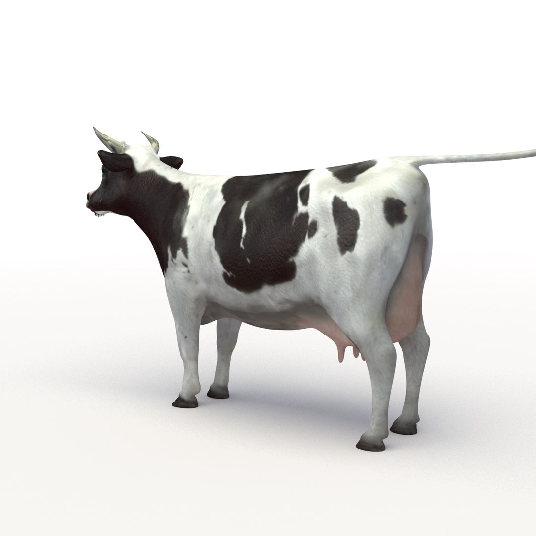 3D Cow Rigged - TurboSquid 1176056