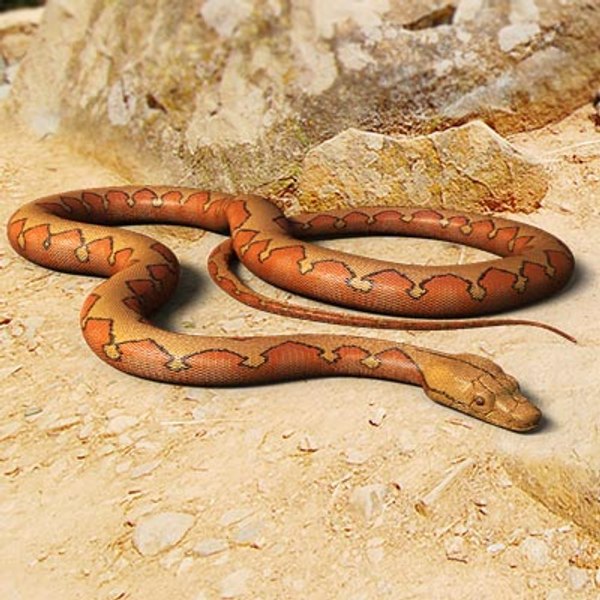 3ds max python orange snakes