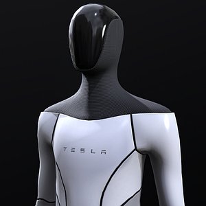 tesla bot